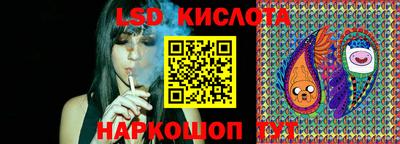 спайс Кингисепп