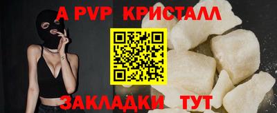 спайс Кингисепп