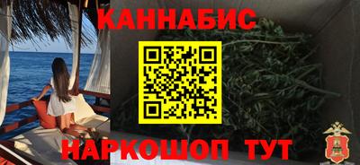спайс Кингисепп