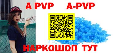 спайс Кингисепп