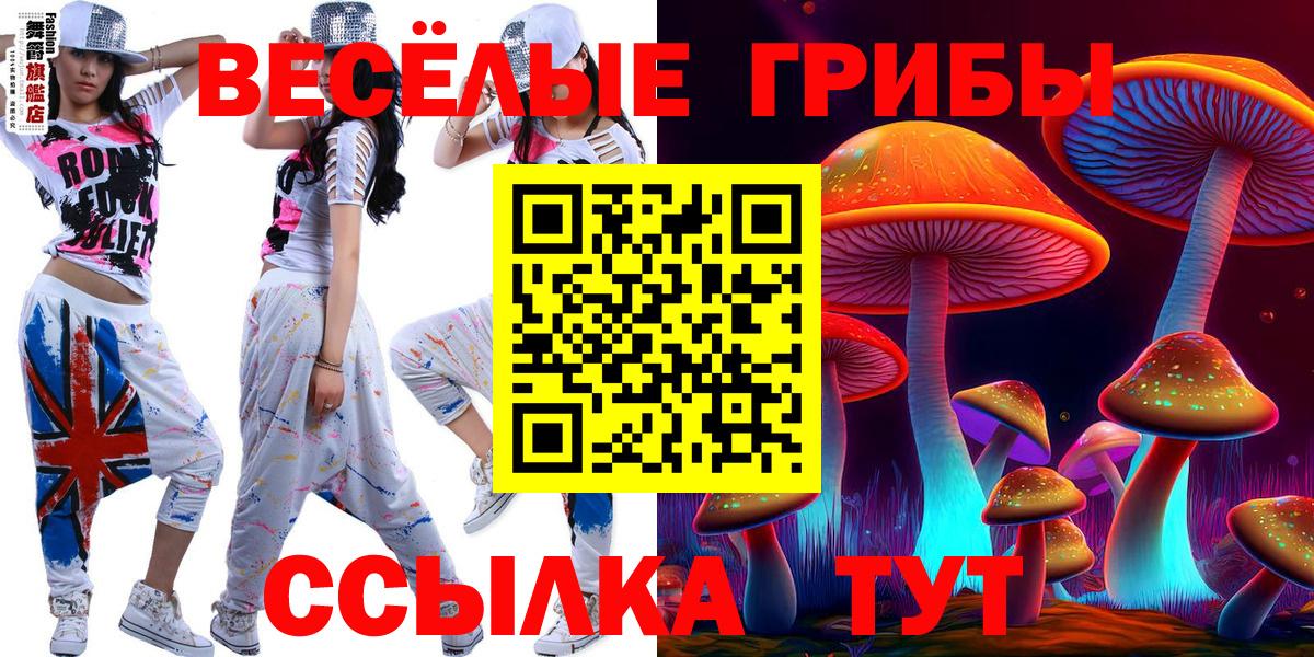 Галлюциногенные грибы Cubensis Клин