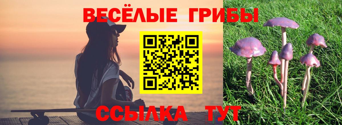 Галлюциногенные грибы Psilocybine cubensis  Вход с VPN  Галлюциногенные грибы Cubensis  Клин 